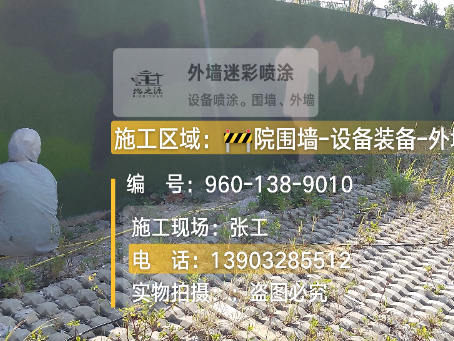 石嘴山外墙迷彩漆材料价约 45-60 元 /k