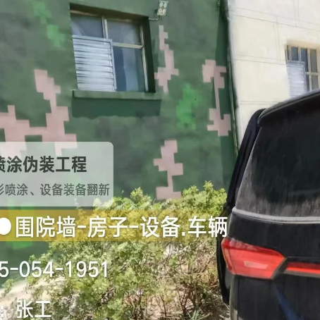 石嘴山数码迷彩漆施工